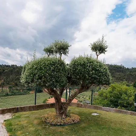Villa Belita Marco de Canavezes